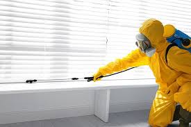 Best Termite Inspection and Treatment  in Spring Lake, MI